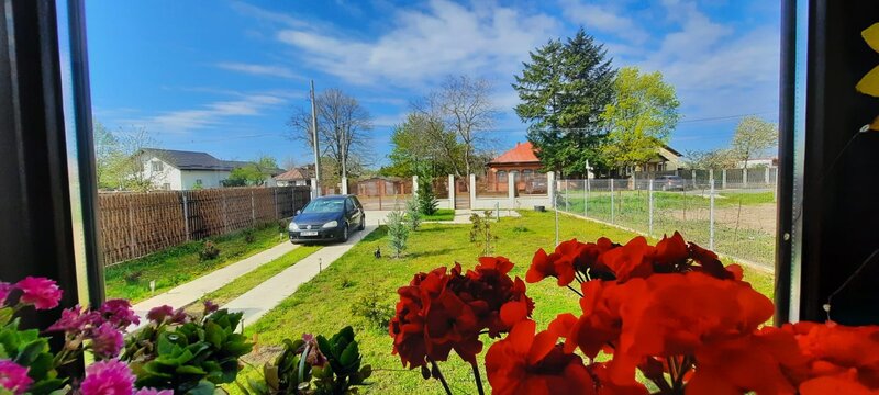 Buturugeni, casa deosebita, langa Bucuresti 20 km, proprietate personala