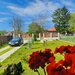 Buturugeni, casa deosebita, langa Bucuresti 20 km, proprietate personala